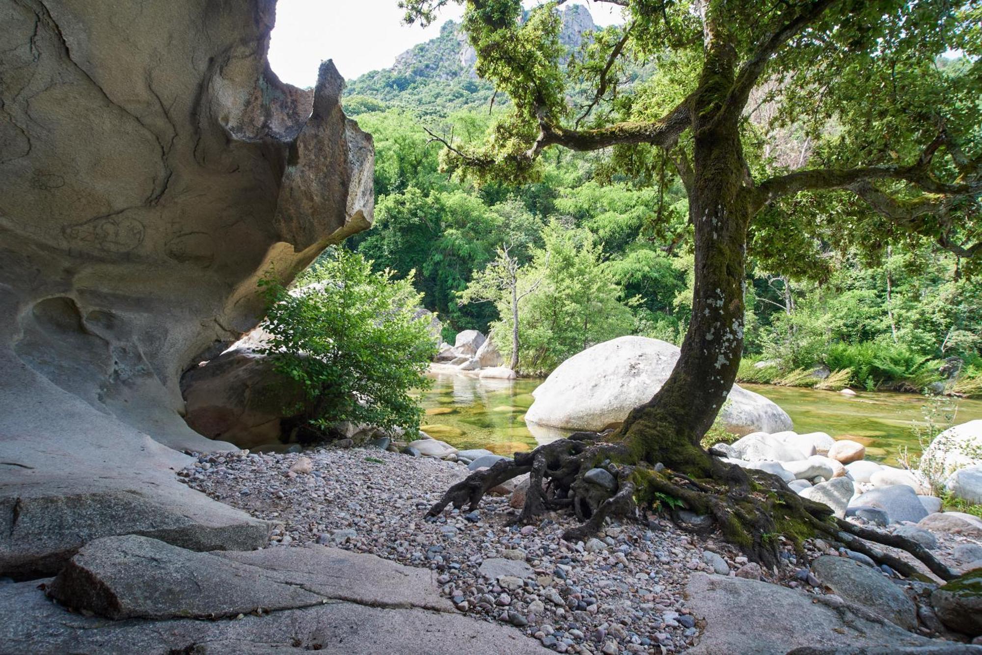 Camping Les Oliviers Porto  Exteriér fotografie