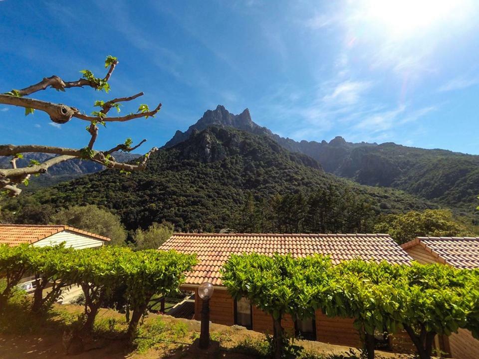 Camping Les Oliviers Porto  Exteriér fotografie